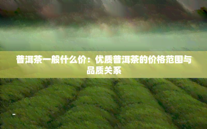 普洱茶一般什么价：优质普洱茶的价格范围与品质关系