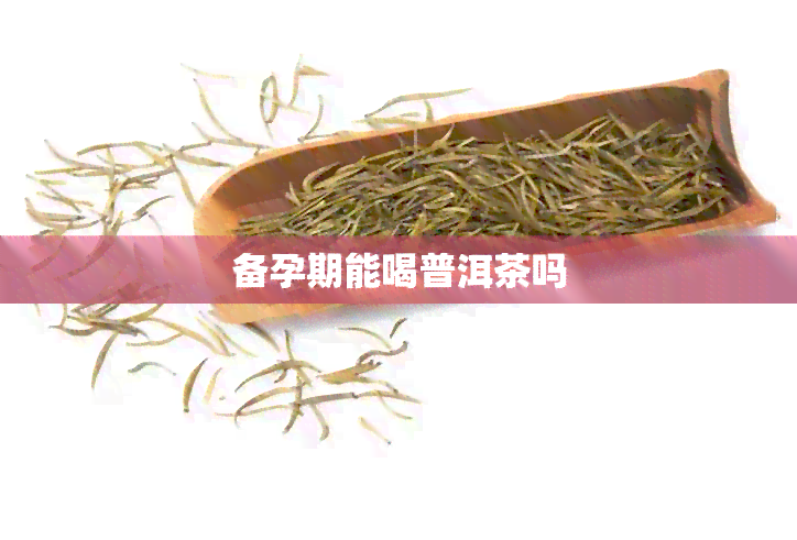 备孕期能喝普洱茶吗