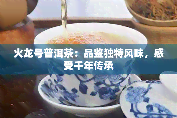 火龙号普洱茶：品鉴独特风味，感受千年传承