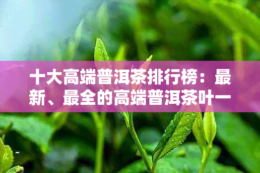 十大高端普洱茶排行榜：最新、最全的高端普洱茶叶一览