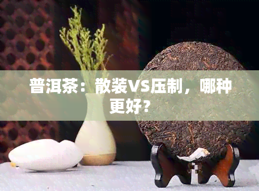 普洱茶：散装VS压制，哪种更好？