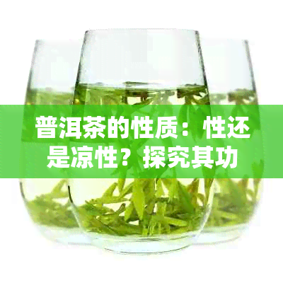 普洱茶的性质：性还是凉性？探究其功效与适用体质