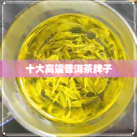 十大高端普洱茶牌子