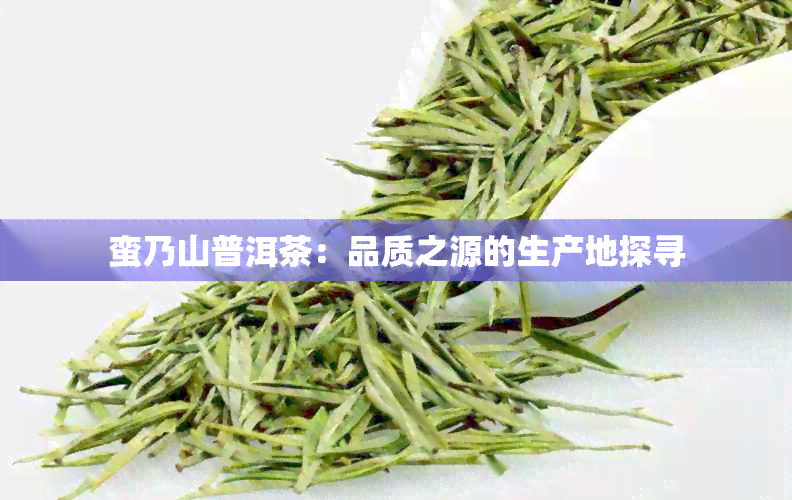 蛮乃山普洱茶：品质之源的生产地探寻