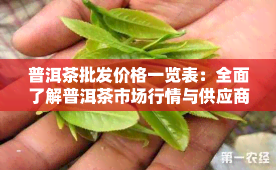 普洱茶批发价格一览表：全面了解普洱茶市场行情与供应商信息