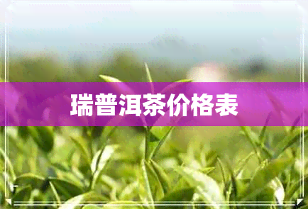 瑞普洱茶价格表