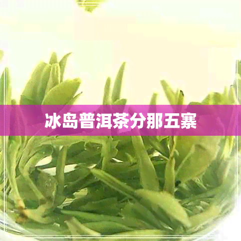 冰岛普洱茶分那五寨