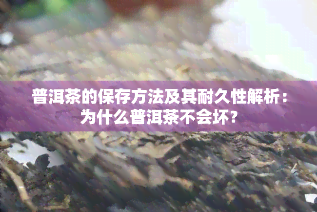 普洱茶的保存方法及其耐久性解析：为什么普洱茶不会坏？