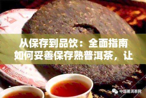 从保存到品饮：全面指南如何妥善保存熟普洱茶，让你品尝更美味的茶香