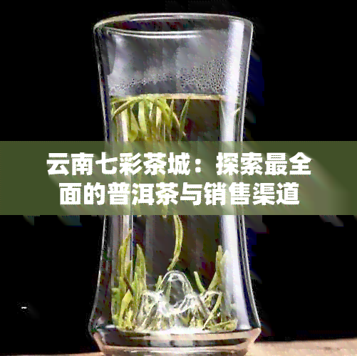 云南七彩茶城：探索最全面的普洱茶与销售渠道