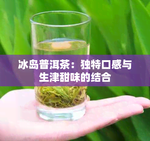 冰岛普洱茶：独特口感与生津甜味的结合