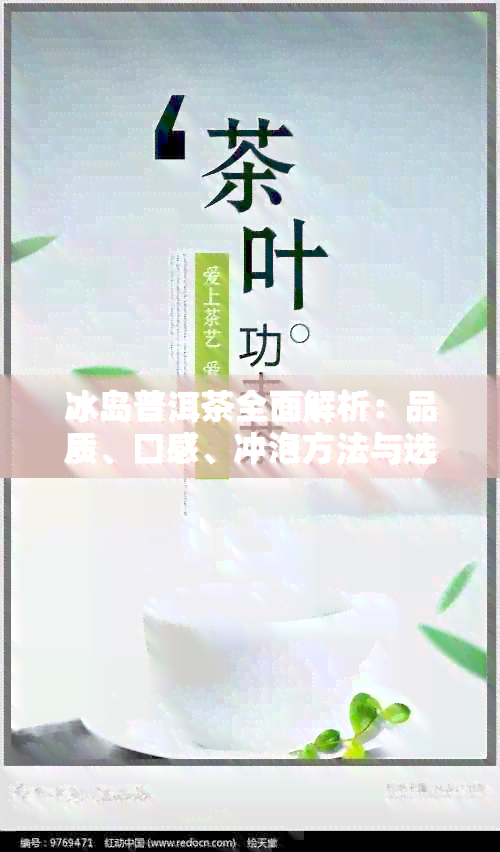 冰岛普洱茶全面解析：品质、口感、冲泡方法与选购建议