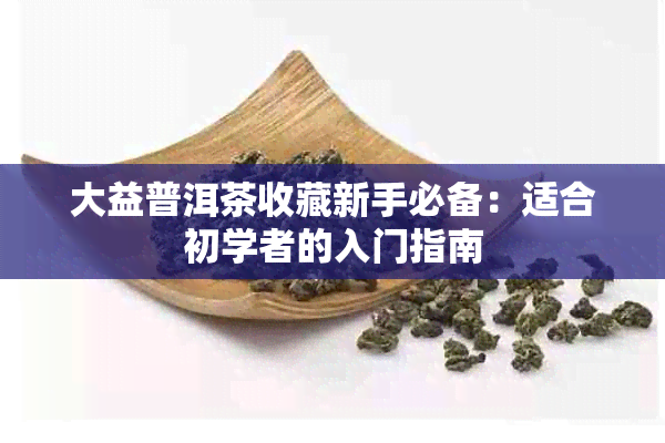 大益普洱茶收藏新手必备：适合初学者的入门指南