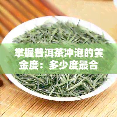 掌握普洱茶冲泡的黄金度：多少度最合适？