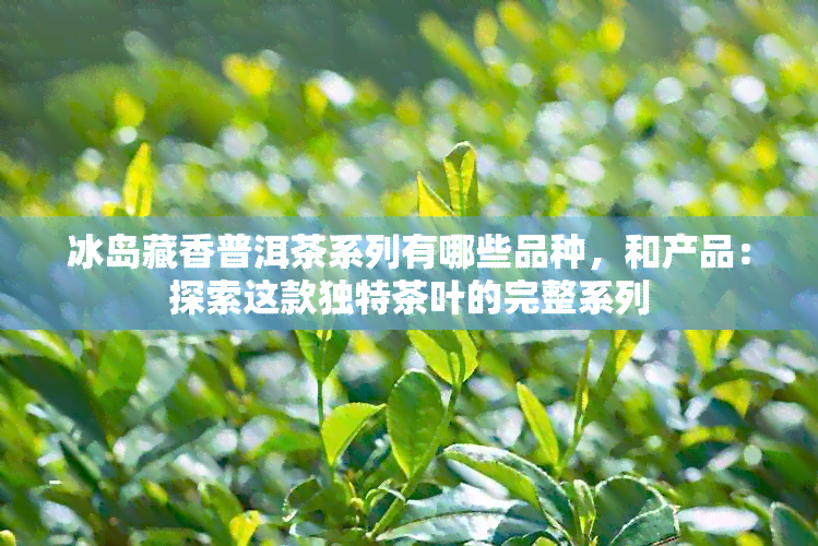 冰岛藏香普洱茶系列有哪些品种，和产品：探索这款独特茶叶的完整系列