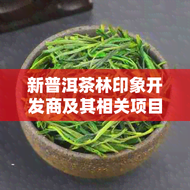 新普洱茶林印象开发商及其相关项目介绍