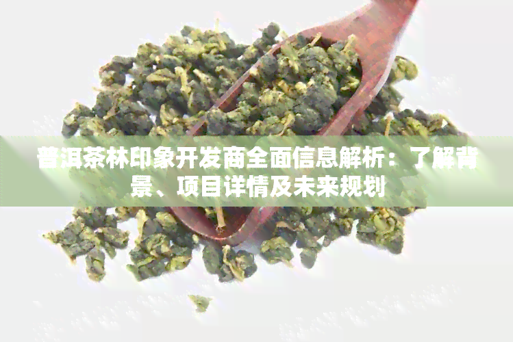 普洱茶林印象开发商全面信息解析：了解背景、项目详情及未来规划