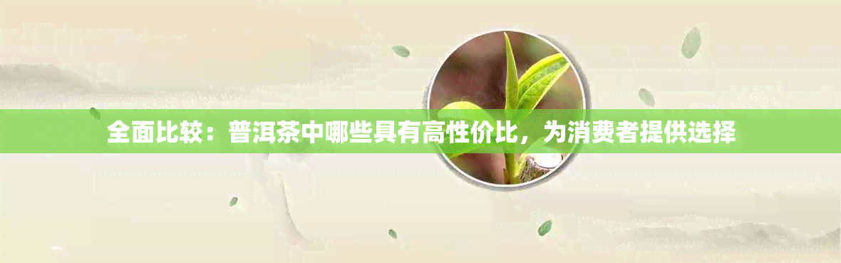 全面比较：普洱茶中哪些具有高性价比，为消费者提供选择