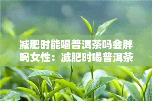 减肥时能喝普洱茶吗会胖吗女性：减肥时喝普洱茶的利弊