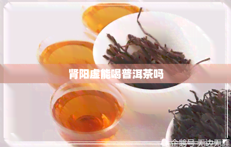 肾阳虚能喝普洱茶吗