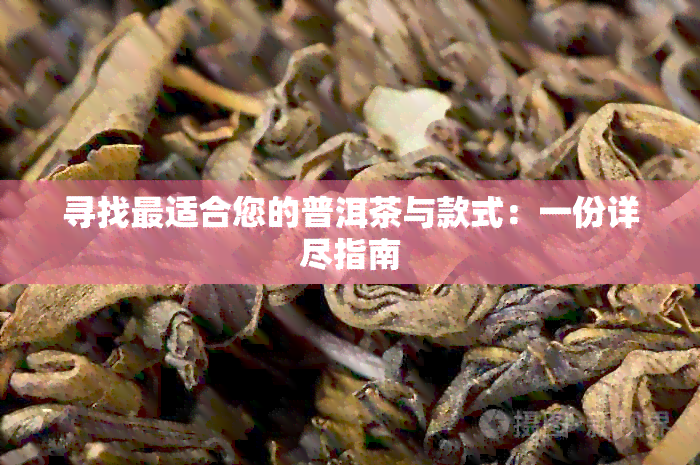 寻找最适合您的普洱茶与款式：一份详尽指南