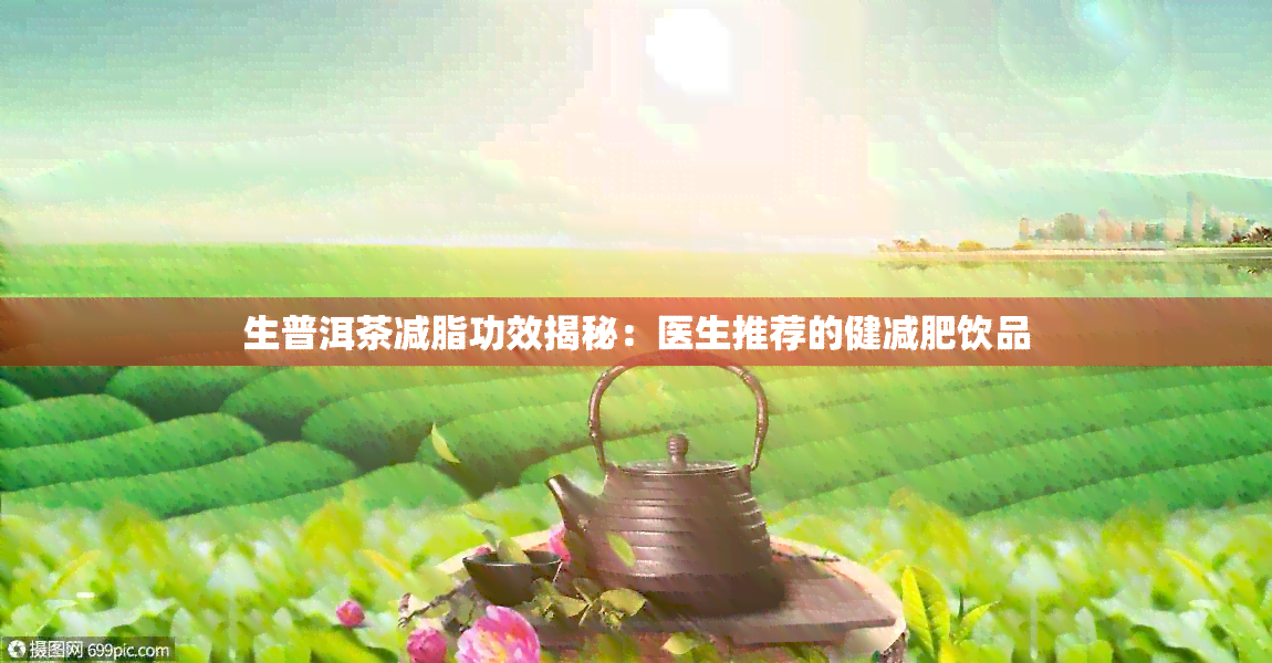 生普洱茶减脂功效揭秘：医生推荐的健减肥饮品