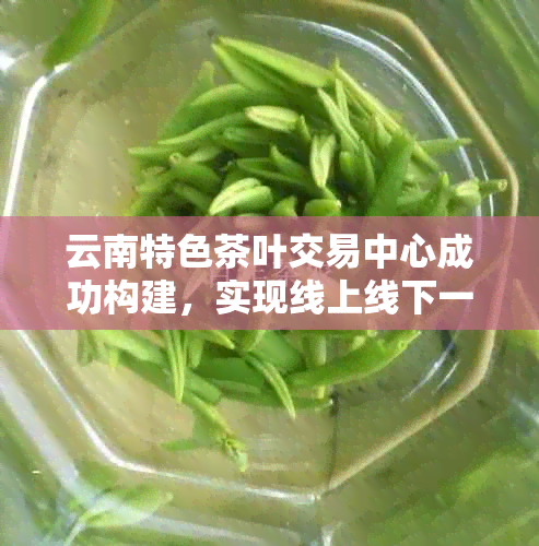 云南特色茶叶交易中心成功构建，实现线上线下一体化