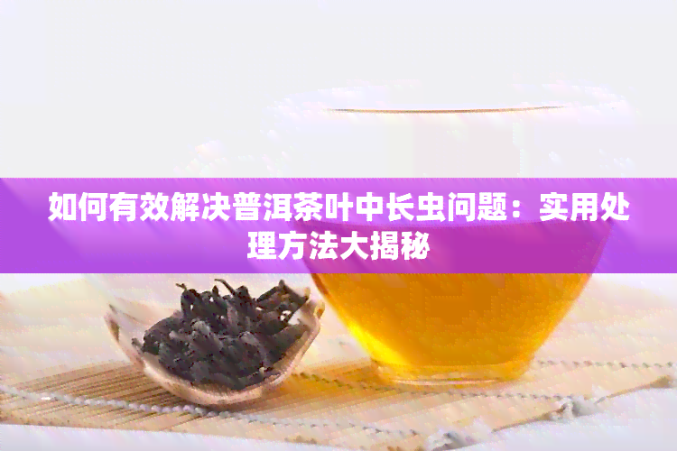 如何有效解决普洱茶叶中长虫问题：实用处理方法大揭秘