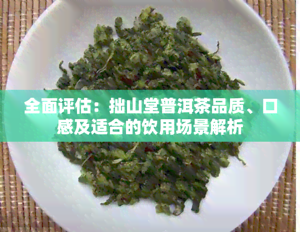 全面评估：拙山堂普洱茶品质、口感及适合的饮用场景解析