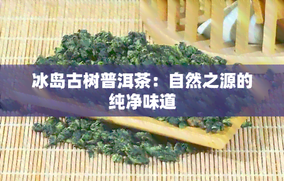 冰岛古树普洱茶：自然之源的纯净味道