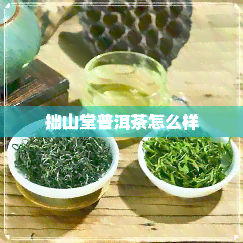 拙山堂普洱茶怎么样