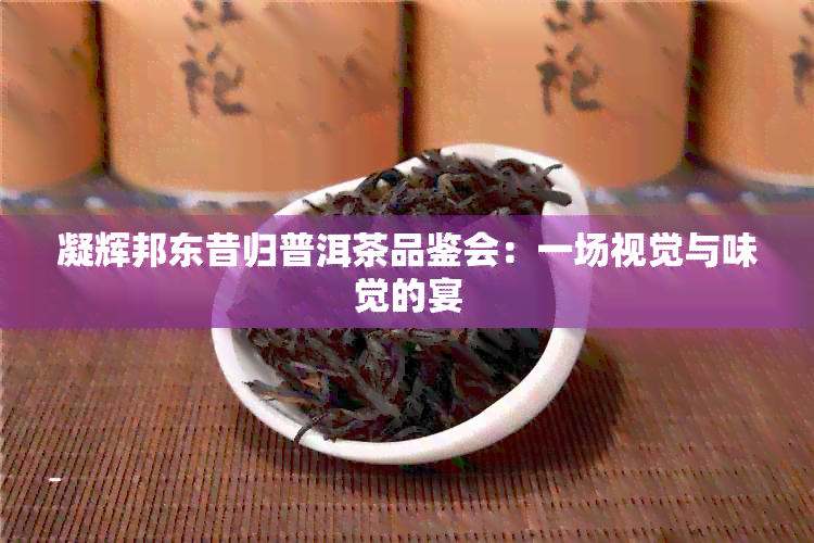 凝辉邦东昔归普洱茶品鉴会：一场视觉与味觉的宴