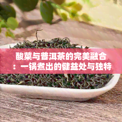 酸菜与普洱茶的完美融合：一锅煮出的健益处与独特美味详解