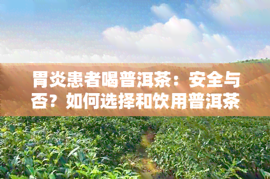 胃炎患者喝普洱茶：安全与否？如何选择和饮用普洱茶以减轻症状？