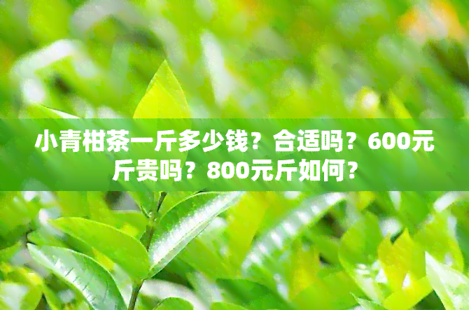 小青柑茶一斤多少钱？合适吗？600元斤贵吗？800元斤如何？