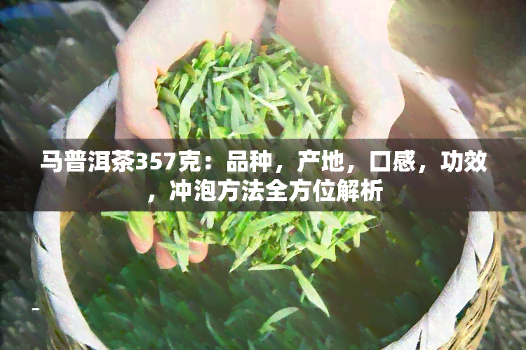 马普洱茶357克：品种，产地，口感，功效，冲泡方法全方位解析