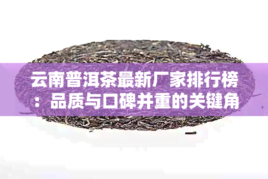 云南普洱茶最新厂家排行榜：品质与口碑并重的关键角色