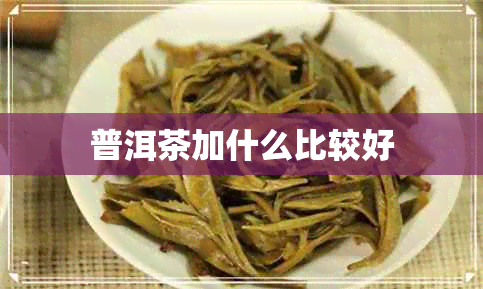 普洱茶加什么比较好