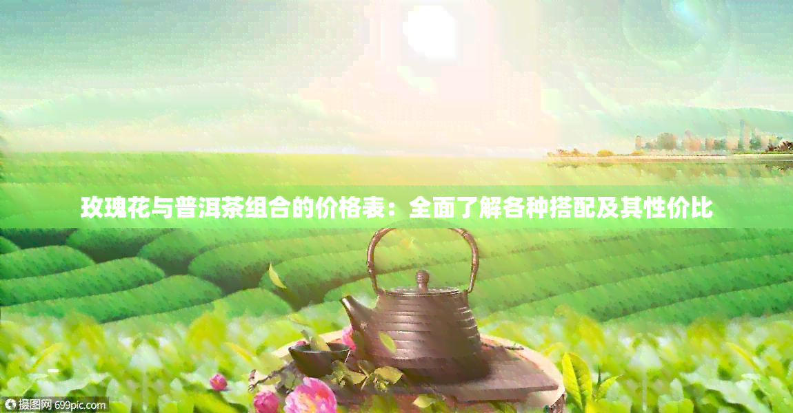 玫瑰花与普洱茶组合的价格表：全面了解各种搭配及其性价比