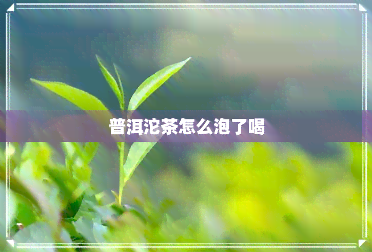 普洱沱茶怎么泡了喝