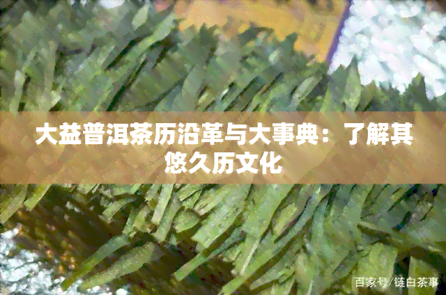 大益普洱茶历沿革与大事典：了解其悠久历文化