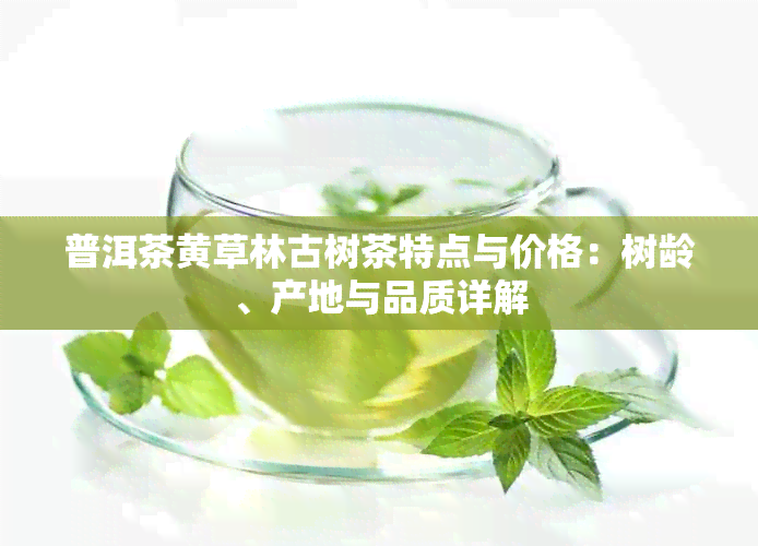 普洱茶黄草林古树茶特点与价格：树龄、产地与品质详解