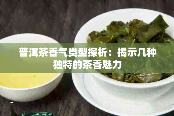 普洱茶香气类型探析：揭示几种独特的茶香魅力