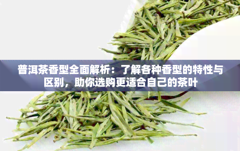 普洱茶香型全面解析：了解各种香型的特性与区别，助你选购更适合自己的茶叶