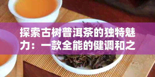 探索古树普洱茶的独特魅力：一款全能的健调和之选