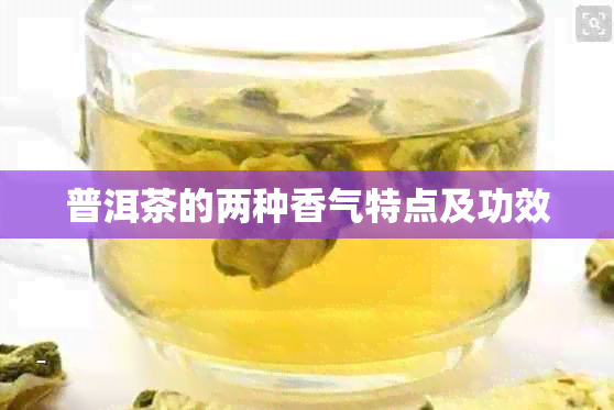 普洱茶的两种香气特点及功效