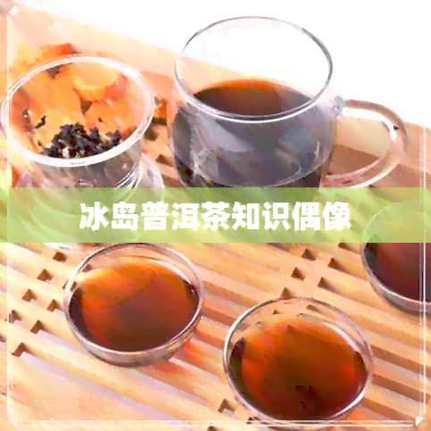 冰岛普洱茶知识偶像