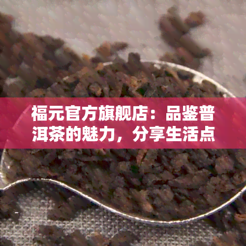 福元官方旗舰店：品鉴普洱茶的魅力，分享生活点滴