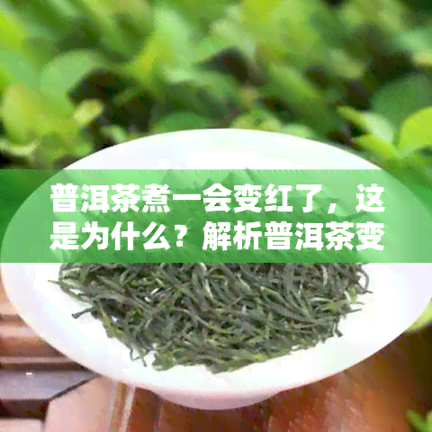 普洱茶煮一会变红了，这是为什么？解析普洱茶变红的原因及其影响