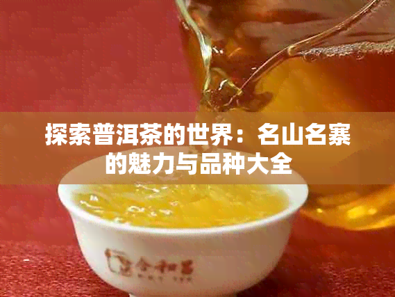 探索普洱茶的世界：名山名寨的魅力与品种大全